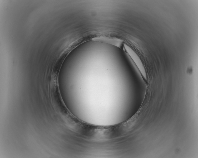 X0000089890172200707262237