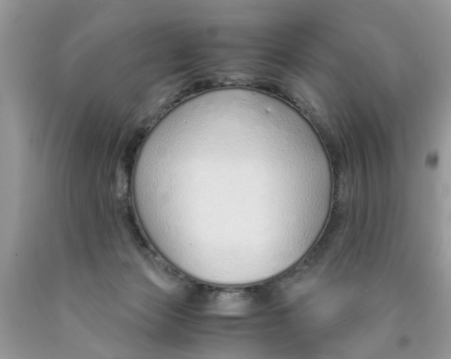 X0000089890173200707262237