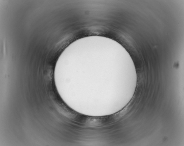 X0000089890174200707262237