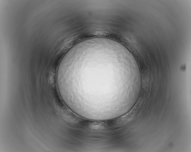 X0000089890175200707262237