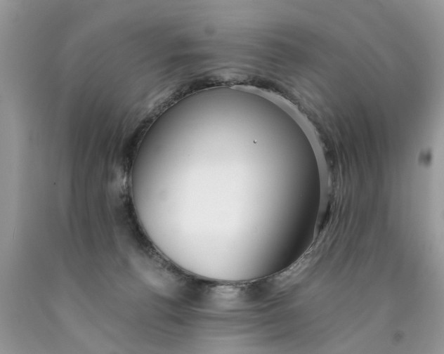 X0000089890176200707262237