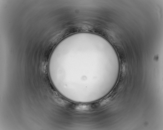 X0000089890177200707262237