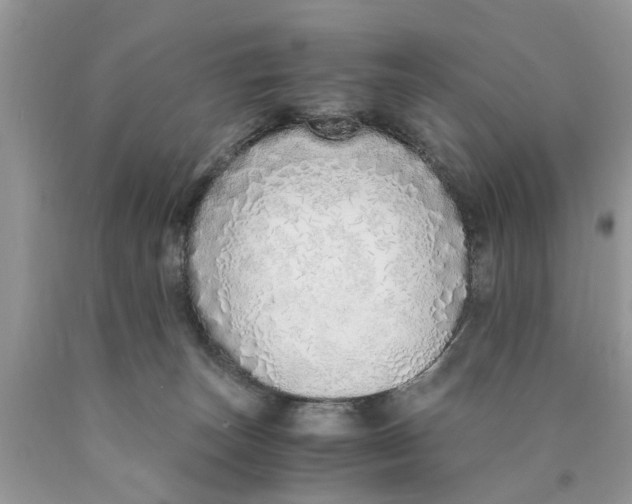 X0000089890179200707262237