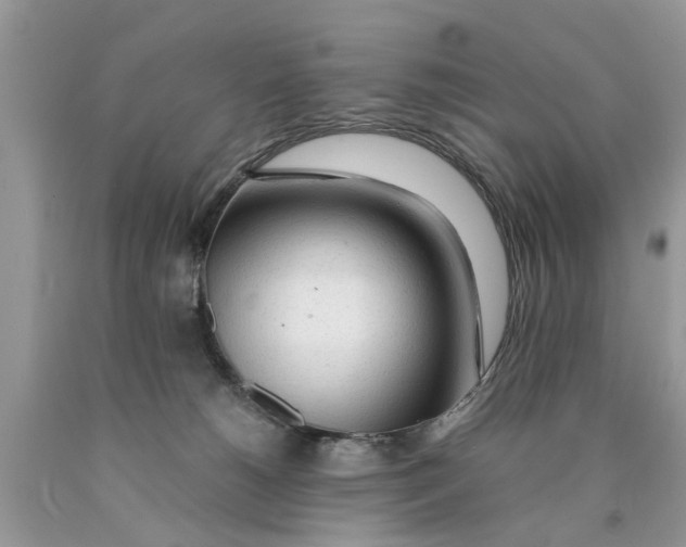 X0000089890180200707262237