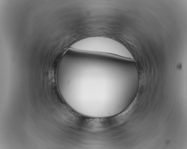 X0000089890182200707262237