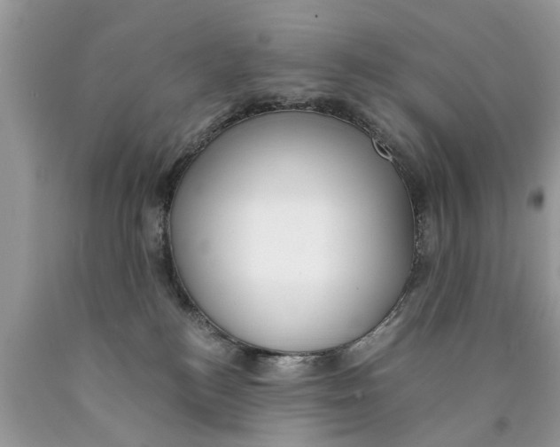X0000089890184200707262237