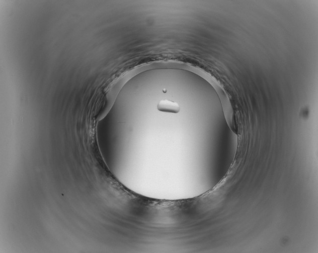 X0000089890186200707262237