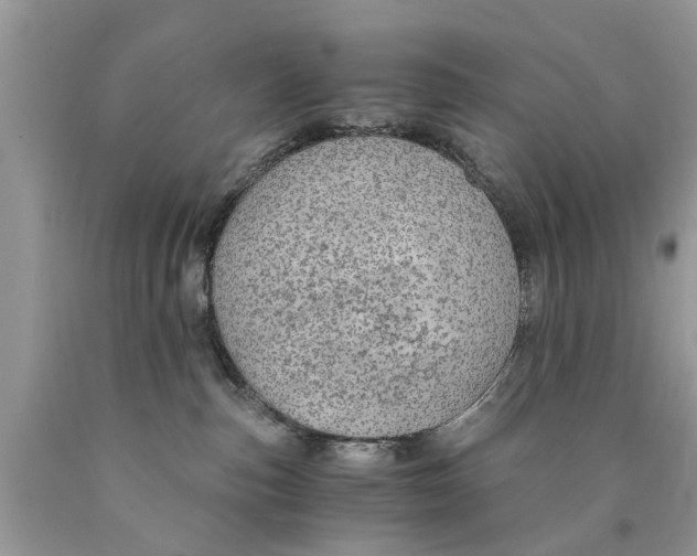 X0000089890187200707262237