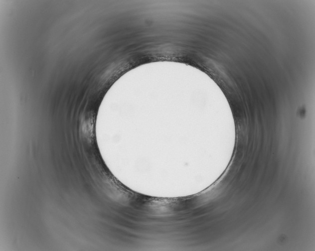 X0000089890190200707262238