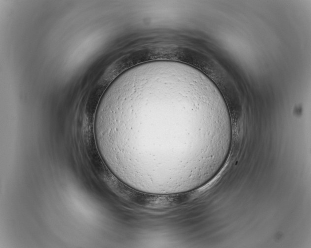 X0000089890191200707262238
