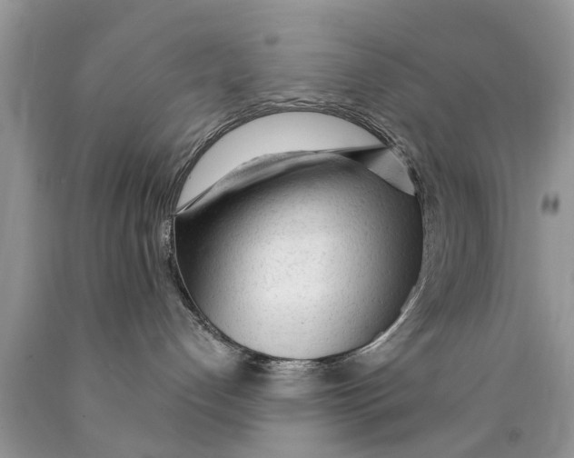 X0000089890192200707262238