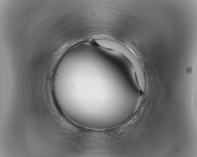 X0000089890193200707262237