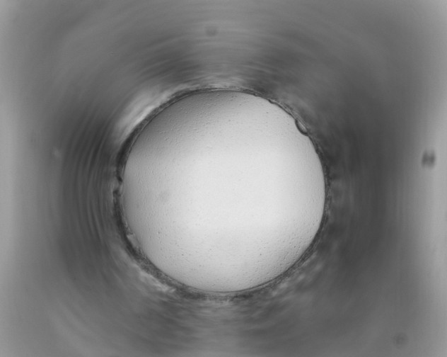 X0000089890194200707262237