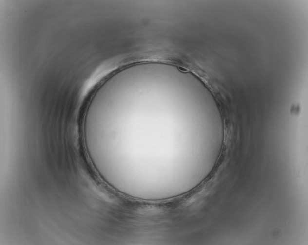 X0000089890198200707262237