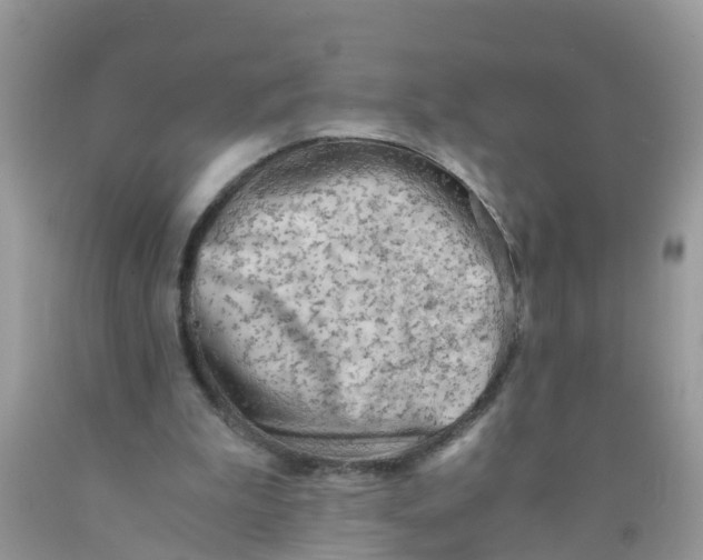 X0000089890199200707262237