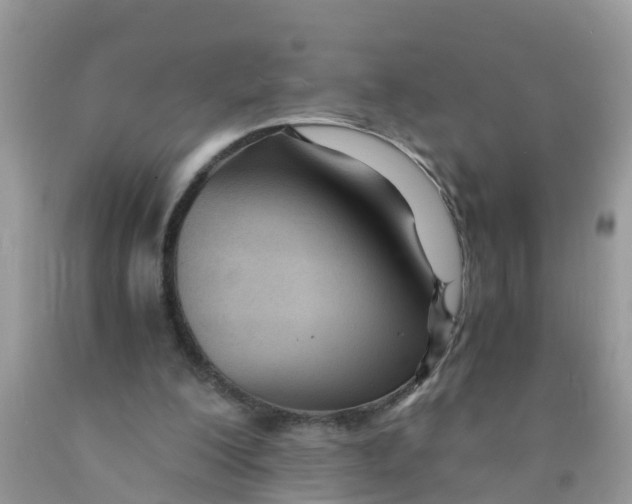 X0000089890200200707262237