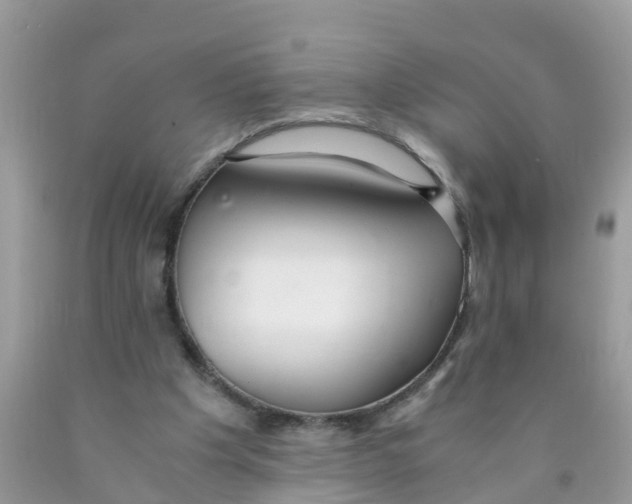X0000089890201200707262237