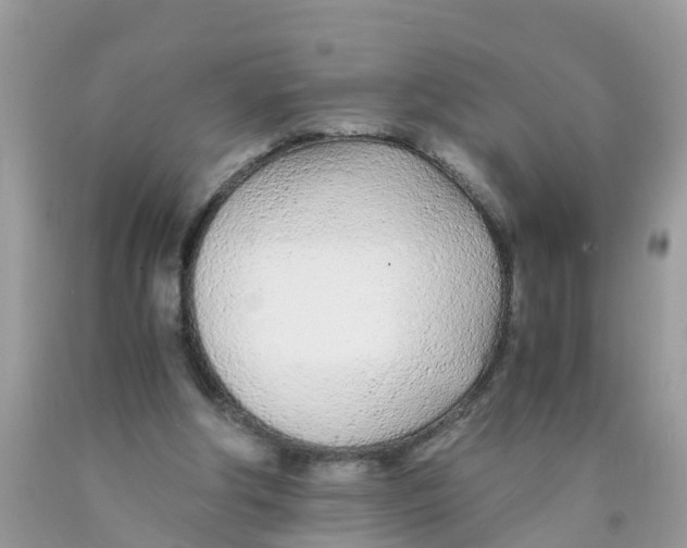 X0000089890202200707262237