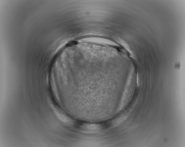 X0000089890205200707262237