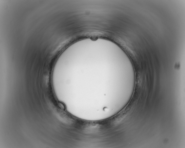 X0000089890206200707262237