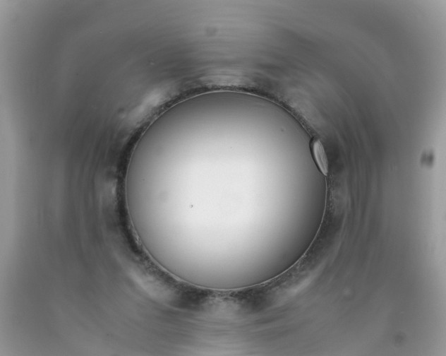 X0000089890207200707262237