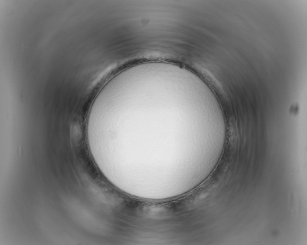 X0000089890208200707262237
