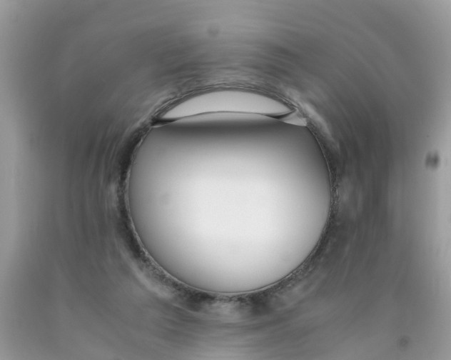 X0000089890209200707262237