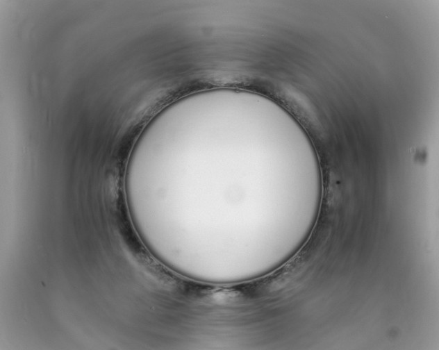 X0000089890210200707262237