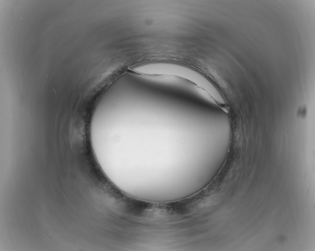X0000089890211200707262237