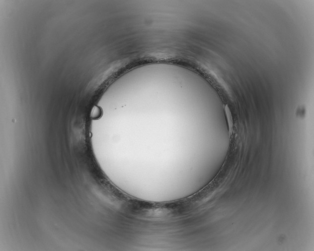 X0000089890212200707262237
