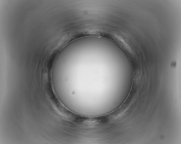 X0000089890213200707262237
