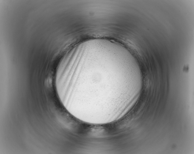 X0000089890214200707262237