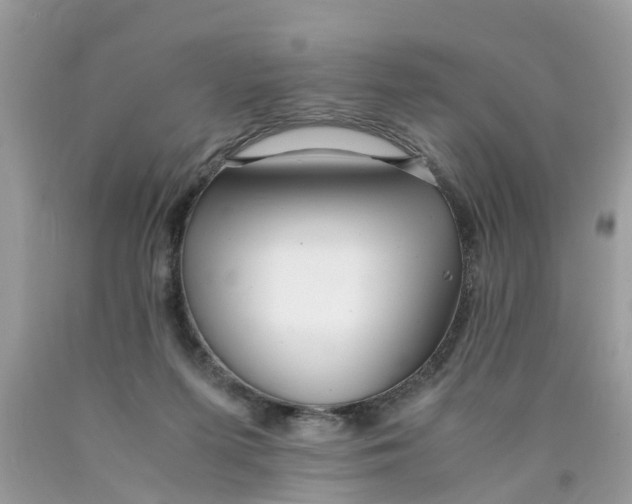 X0000089890215200707262237