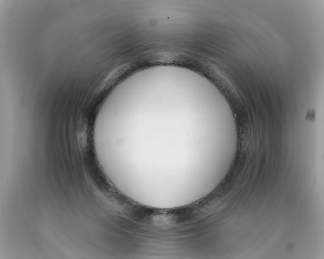 X0000089890216200707262237