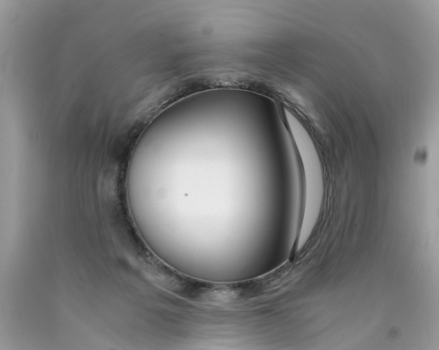 X0000089890217200707262237