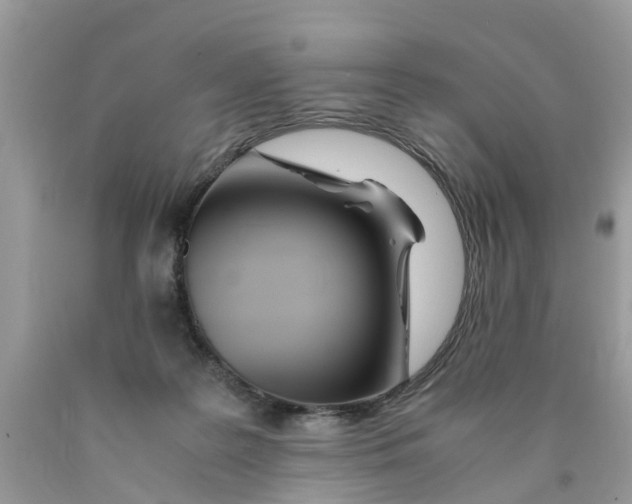 X0000089890219200707262237