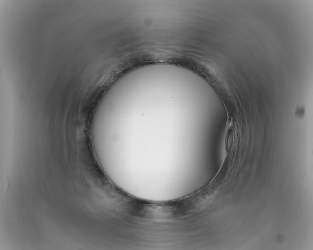 X0000089890221200707262237