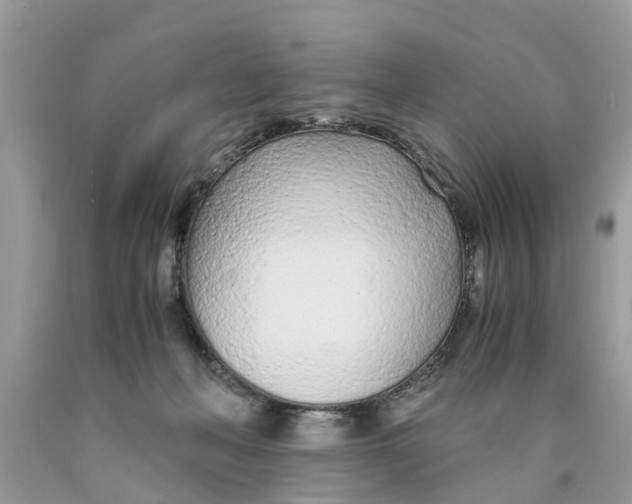 X0000089890222200707262237