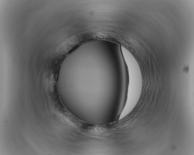 X0000089890223200707262237
