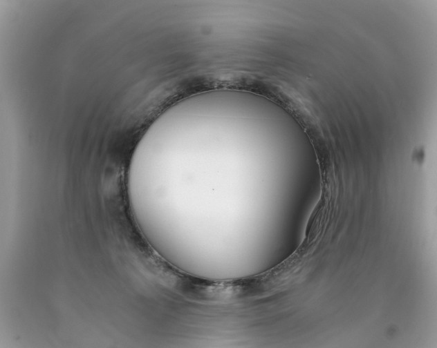 X0000089890225200707262237