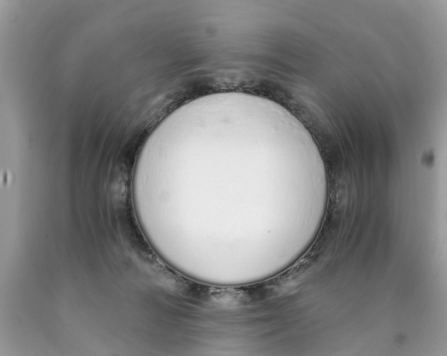 X0000089890226200707262237