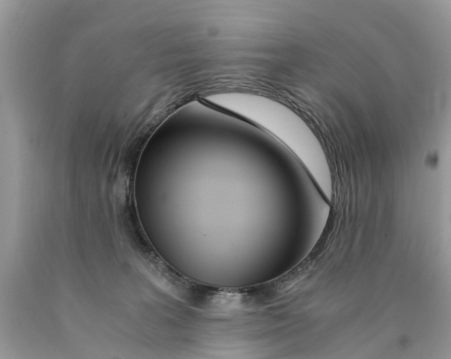 X0000089890227200707262237