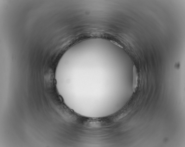 X0000089890228200707262237