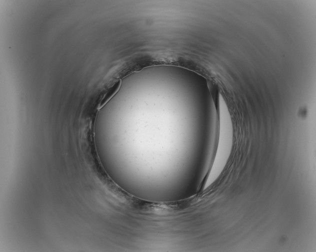 X0000089890229200707262237
