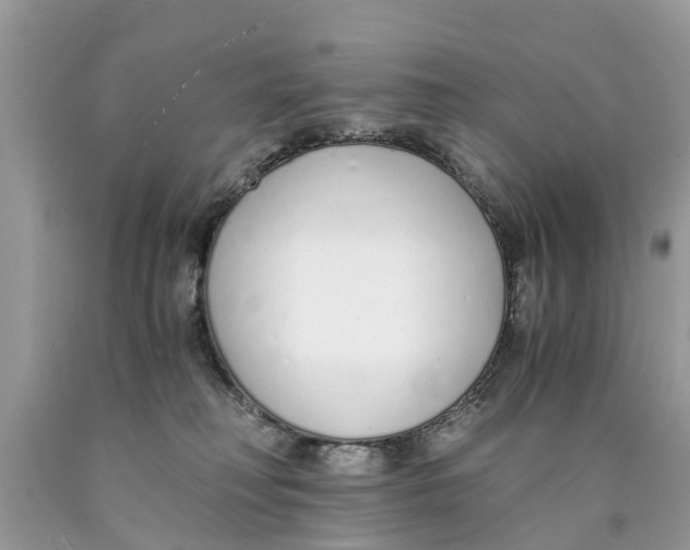 X0000089890230200707262237