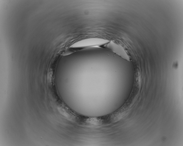 X0000089890231200707262236