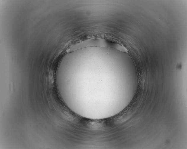 X0000089890232200707262236