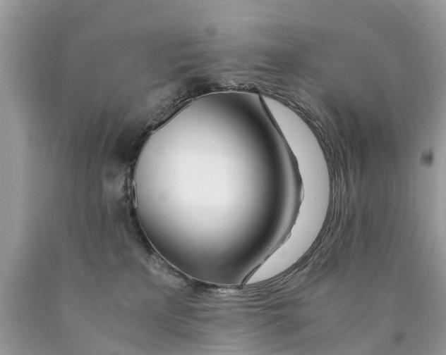 X0000089890233200707262236