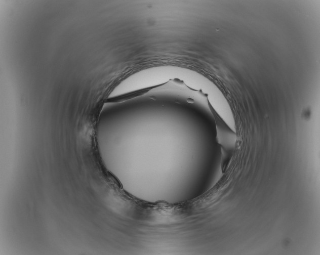 X0000089890235200707262236