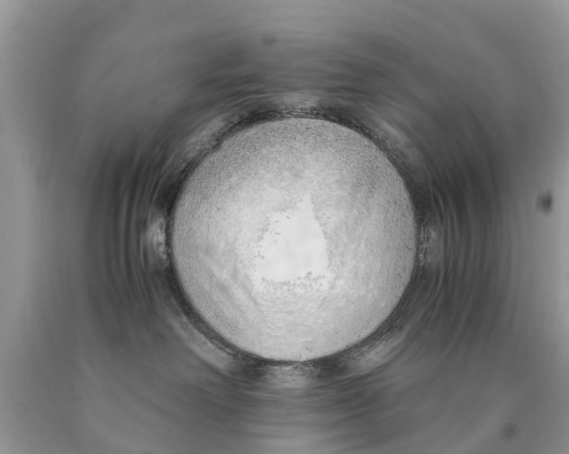 X0000089890238200707262236
